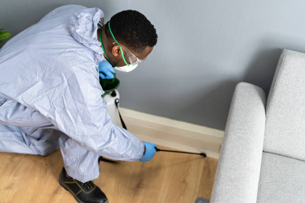 Best Real Estate Pest Inspections  in Kingston, NJ